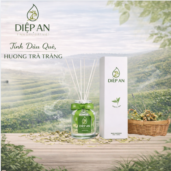 Tinh dầu cắm que thơm phòng hương trà trắng (100ml)