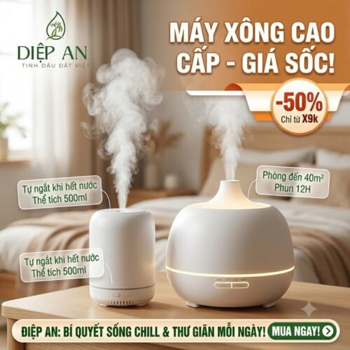 Máy xông tinh dầu