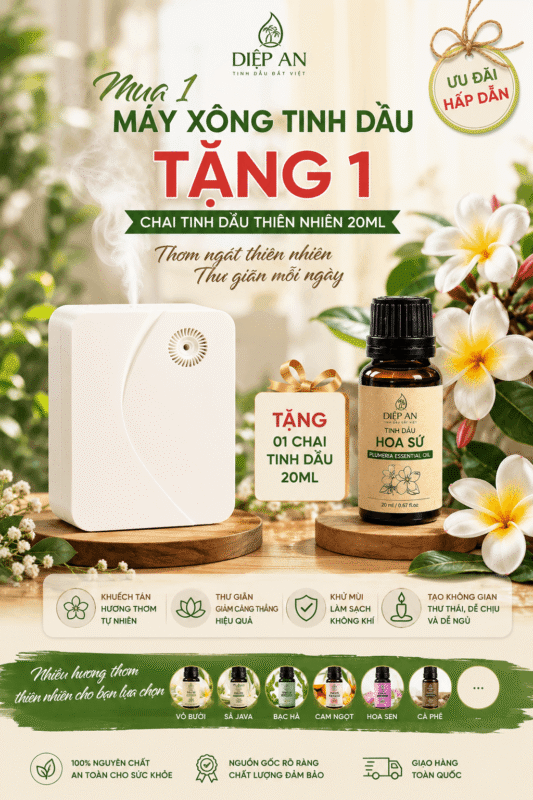 combo máy xông tinh dầu