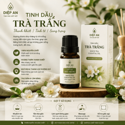 Top 8 loại tinh dầu
