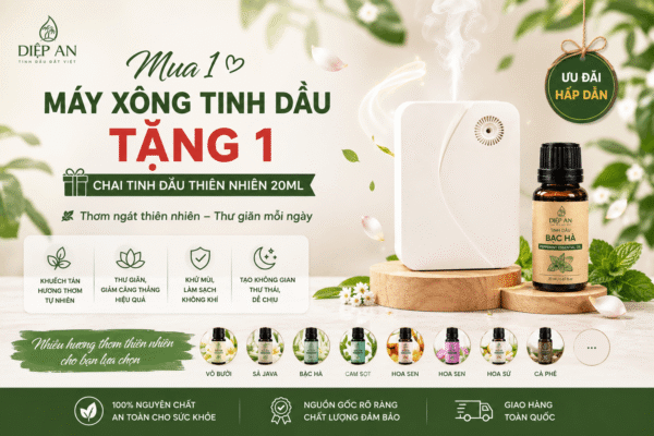 combo máy xông tinh dầu