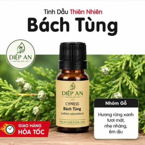 Tinh dầu Bách Tùng(20ml)