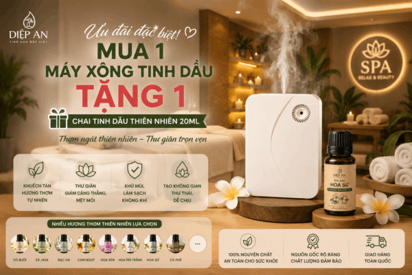 combo máy xông tinh dầu