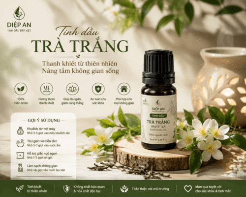 7 Dấu Hiệu Nhận Biết Đơn Giản